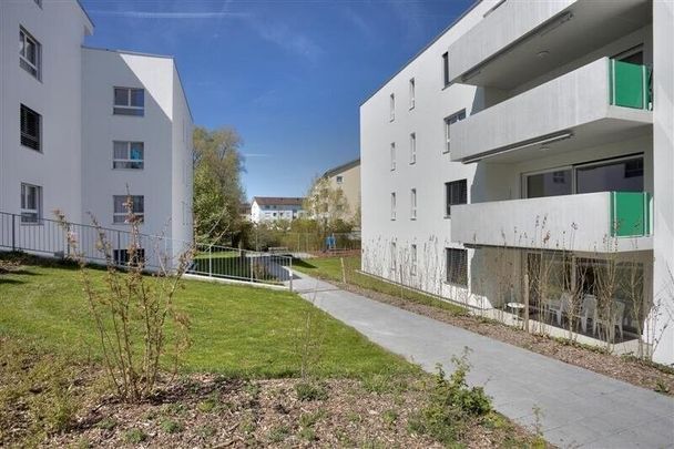 3.5 Room Apartment - Photo 1