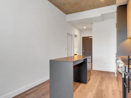 For Lease - 10 James Street Unit# 206, Ottawa Centre, Ontario - Photo 5