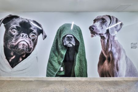 Studio, 1 Bedroom and 2 Bedroom Apartment for Rent in Ottawa. - Photo 2