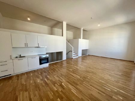 WINTERAKTION – Erster Monat Mietfrei! Geräumige Loft Wohnung - Erstbezug - Photo 4