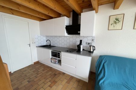 HYERES- APPARTEMENT T2 EN SOUPLEX - AU CALME - TERRASSE- ST - Photo 4