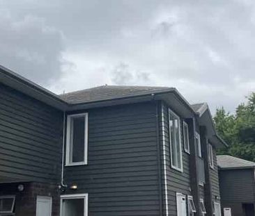 Self Contained Studio Close to the University - Photo 4