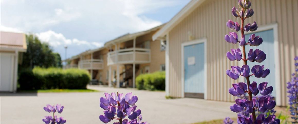 Stinsvägen 3 D - Photo 1