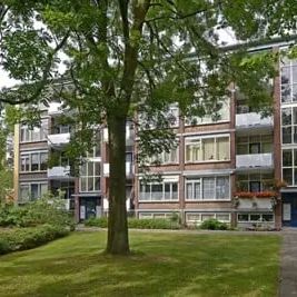 Appartement au rez-de-chaussée Ruimzicht 248, La Haye - À louer - Photo 3