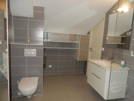 Location Appartement 1 pièce Meublé 36m² AIX LES BAINS 73100 - Photo 5