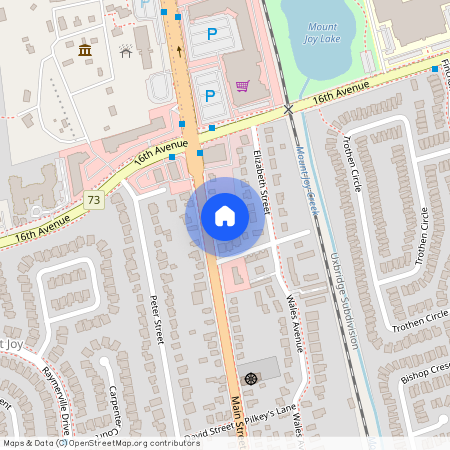 361 MAIN STREET N, Markham, Old Markham Village