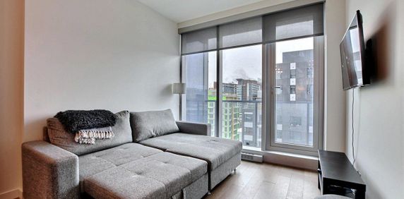 Appartement Ville-Marie (Centre-Ville, Vieux-Montréal) À Louer - Photo 2