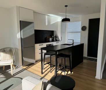 Fully Furnished New Townhouse, Riccarton - Photo 3