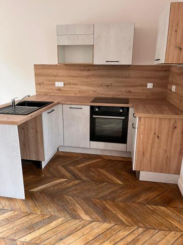 Location Appartement 2 pièces 47m² BRIOUDE 43100 - Photo 3