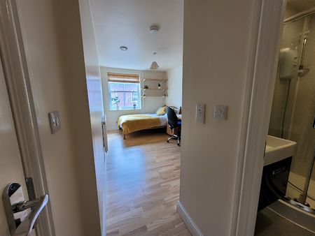 Room 7 Available, Riverside En Suite, 11 Bedroom House, Willowbank Mews – Student Accommodation Coventry - Photo 3