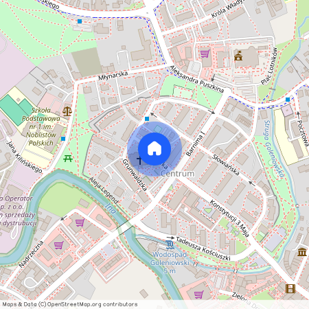 Grunwaldzka, GOLENIÓW, ZACHODNIOPOMORSKIE, Goleniowski