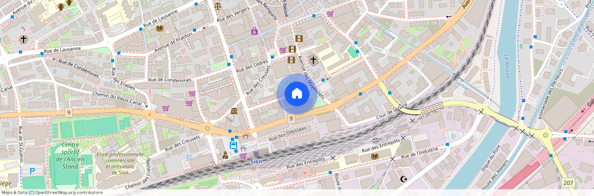 Rue Chanoine-Berchtold 12, 1950 Sion