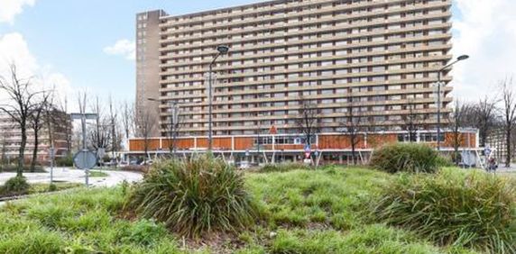 Hendrik Tollensstraat 2624 ZL Delft - Photo 2