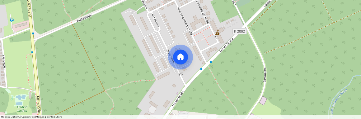 Birkenallee 4, 06862 Dessau-Roßlau