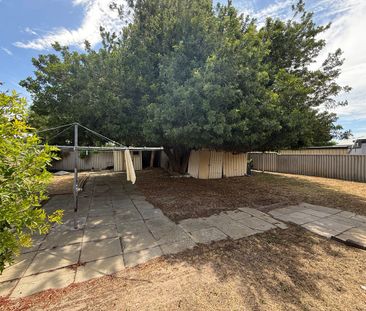 Spacious backyard - Photo 4