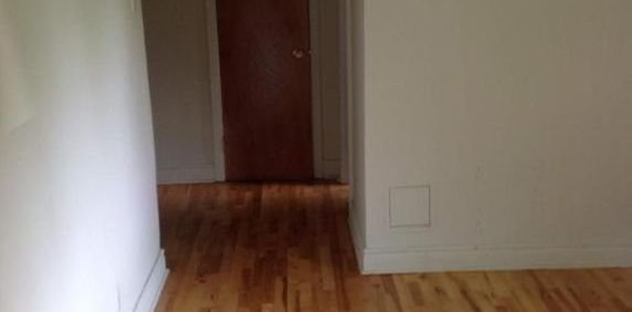 1 CH - 1 SDB - Montréal - $1,250 /mo - Photo 2