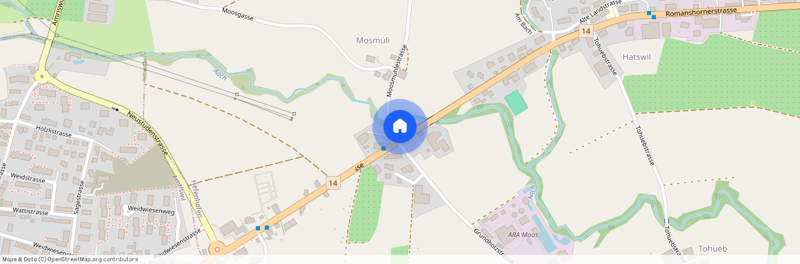 8580, Hefenhofen, Romanshornerstrasse, 225