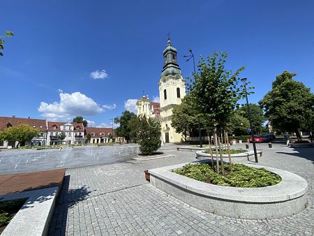 Bezczynszowe mieszkanie w zadbanej kamienicy - Photo 2