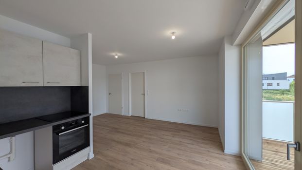 Location Appartement 2 pièces 43m² MITTELHAUSBERGEN 67206 - Photo 1