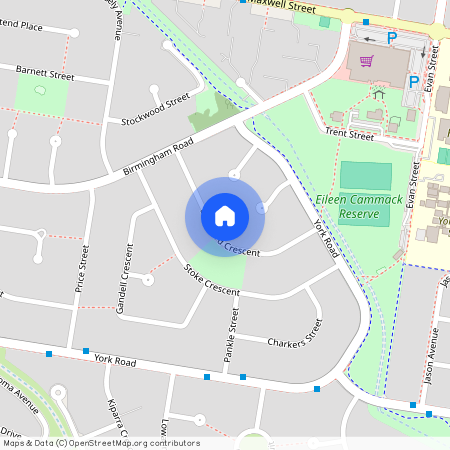 19 Blackford Crescent, NSW 2750, South Penrith