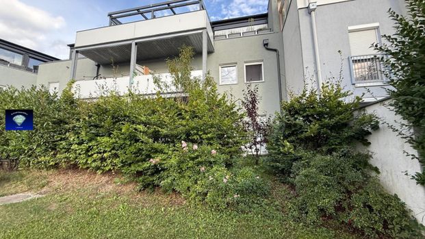 Super Gartenwohnung mit Seebenützung barrierefrei-2812 - Photo 1