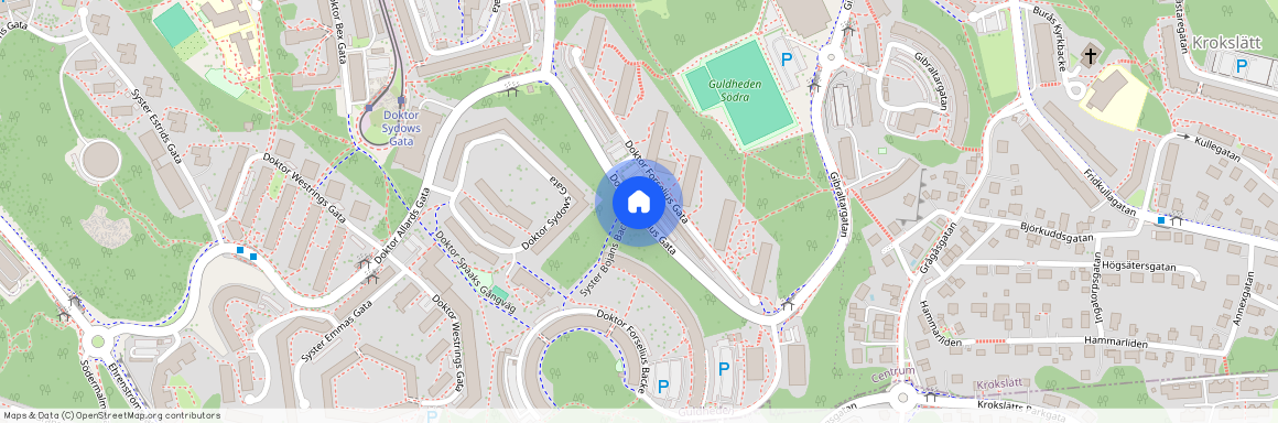 Doktor Forselius Gata, Göteborg