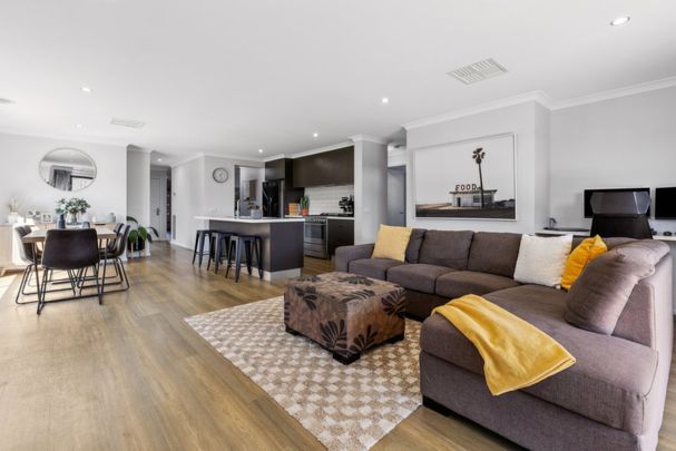 6 Hudson Street, Jackass Flat - Photo 1