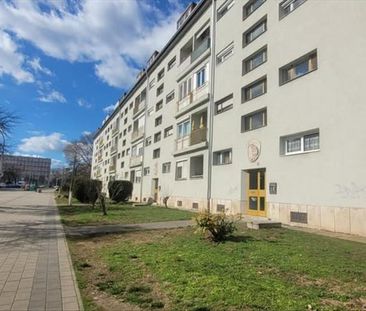 Kiadó felújítandó lakás - Pécs - Fotó 6