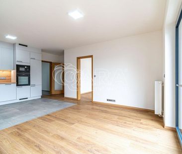 Pronájem bytu 2+kk 55 m² - Photo 5