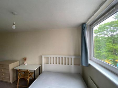 3 bedroom house share to rent - Photo 2