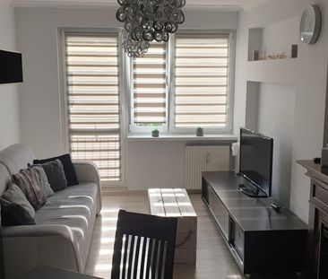 Wynajem, śliczne i odświeżone 2-pok. mieszkanie 38 m² - Photo 4