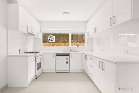 Fully Renovated Apartment with Separate Study in Prime Armadale - Photo 5