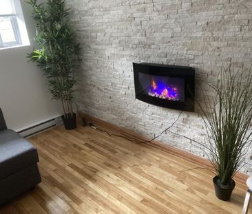 3 1/2 - Montréal (Hochelaga / Maisonneuve) - 1 399 $/mois - Photo 2