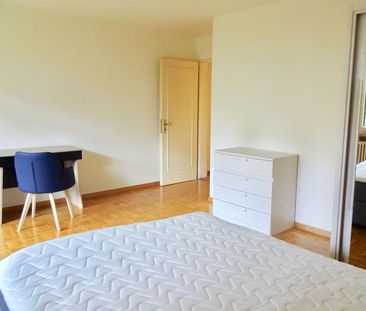 Mickey #3 - Experience 60's Charm in Zürich's Green Oasis - Photo 5