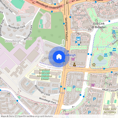 8 Woodleigh Lane, D13, 357688, Singapore