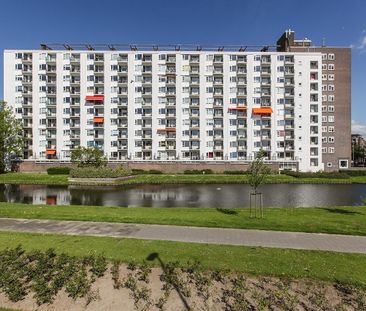 Te huur: Appartement Suze Groeneweglaan in Rotterdam - Foto 1