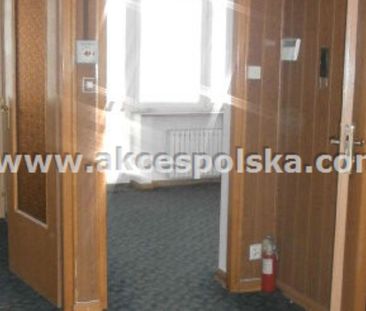 Dom na wynajem - Photo 4