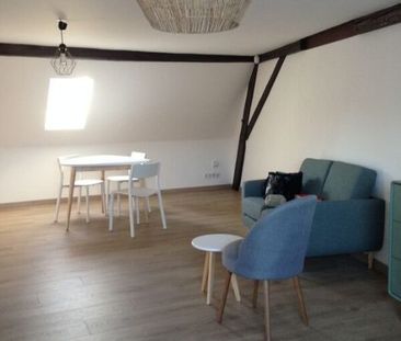 Studio-loft meublé 48 m²/sol état neuf jardin à partager - Photo 2