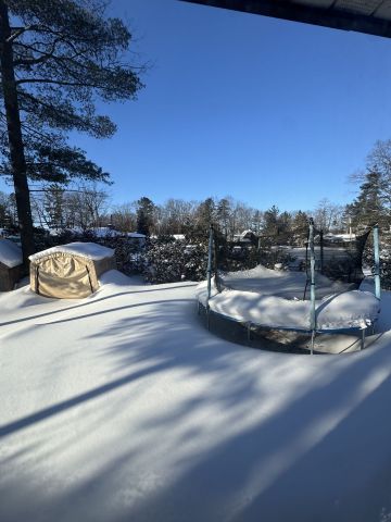 For Lease - 156 39th Street, Wasaga Beach, Ontario - Photo 3