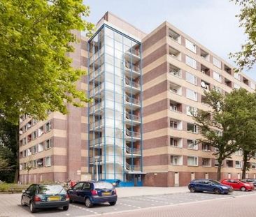 Fluitekruidweg 0ong, 1508 Zaandam, Nederland - Foto 2