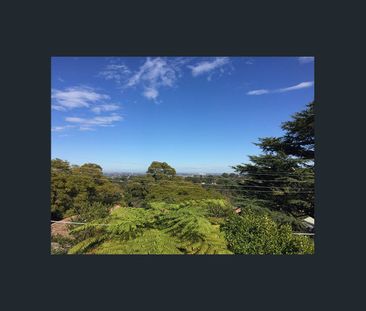 CHARMING CHARACTER HOME WITH A VIEW - Photo 5