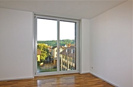 4 ½ Zimmer-Wohnung in Winterthur mieten - Foto 3