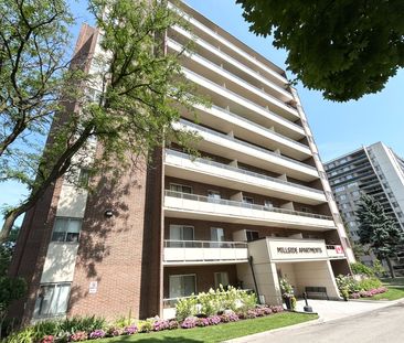 For Lease - 101 Millside Drive Unit# 102, Milton, Ontario - Photo 3