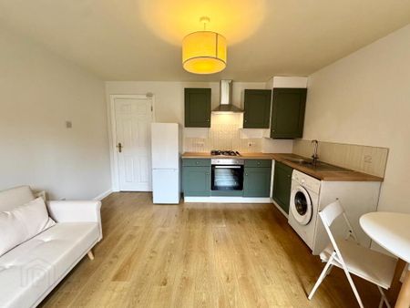 Flat 2, 97 Eglantine Avenue, Belfast, BT9 6EX - Photo 4
