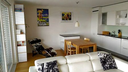 2 Zimmer-Wohnung in Le Mont-sur-Lausanne (VD), möbliert - Foto 3