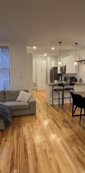 Magnifique 4 ½ entièrement rénové — 1000 pi² — Hochelaga-Maisonneuve — Disponible rapidement - Photo 1
