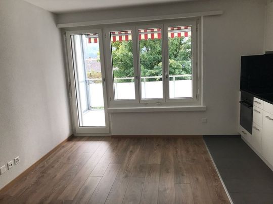 Zentrale Wohnung - Nähe Sternen Oerlikon - Foto 1