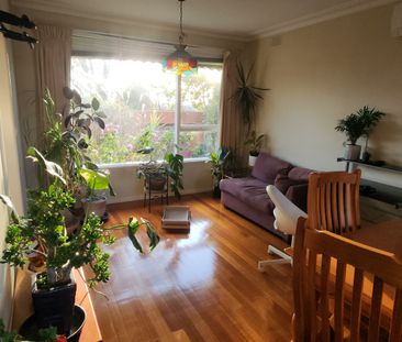 Mount Waverley - Photo 4