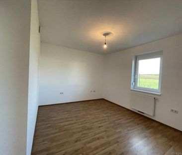 Waldstraße 637 Haus 1, 2145 Hausbrunn, Mistelbach - Photo 6