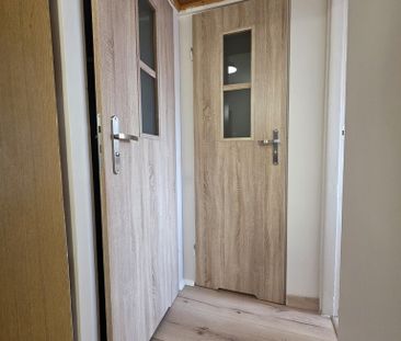 (Symbol 439250) - Zdjęcie 4